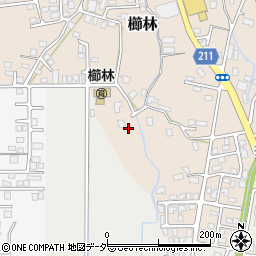 福井県敦賀市櫛林31周辺の地図