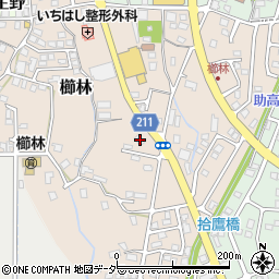 福井県敦賀市櫛林7周辺の地図