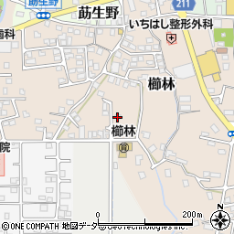 福井県敦賀市櫛林13周辺の地図