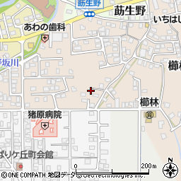 福井県敦賀市櫛林17周辺の地図
