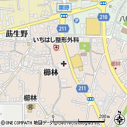 スギドラッグ敦賀櫛林店周辺の地図