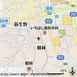 福井県敦賀市櫛林周辺の地図