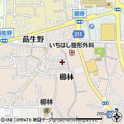 〒914-0138 福井県敦賀市櫛林の地図