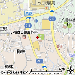 福井県敦賀市櫛林9-5周辺の地図