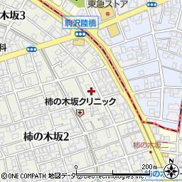 東京都目黒区柿の木坂2丁目9-4周辺の地図