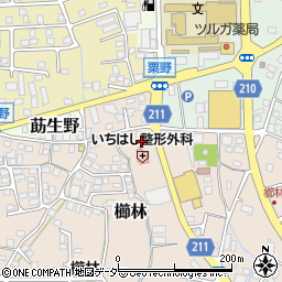 福井県敦賀市櫛林9-7周辺の地図