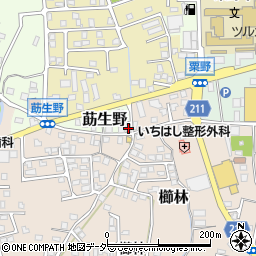福井県敦賀市莇生野10周辺の地図