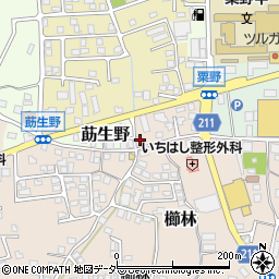 福井県敦賀市櫛林96周辺の地図