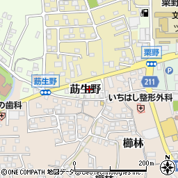 福井県敦賀市莇生野96周辺の地図
