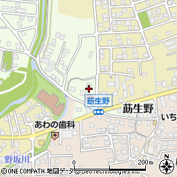 福井県敦賀市莇生野94周辺の地図