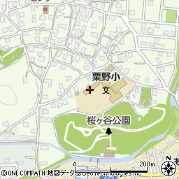 福井県敦賀市莇生野47周辺の地図
