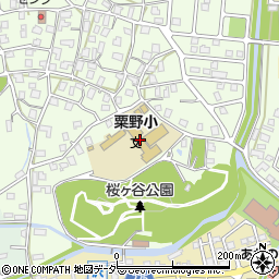 福井県敦賀市莇生野47-11周辺の地図