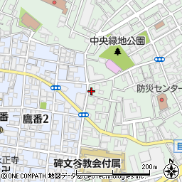 株式会社椎橋商店周辺の地図