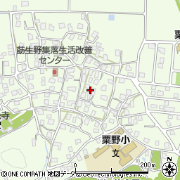福井県敦賀市莇生野周辺の地図