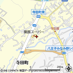 東京都八王子市寺田町249-4周辺の地図