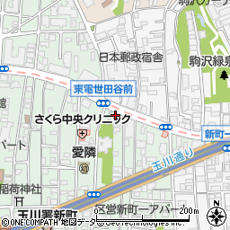 桜新町はりきゅう接骨院周辺の地図
