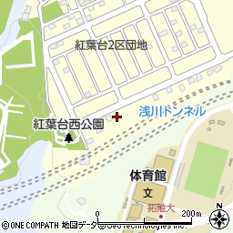 紅葉台南公園周辺の地図