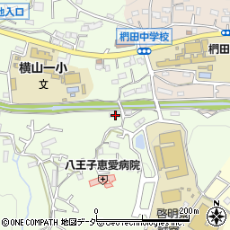 東京都八王子市館町2177周辺の地図
