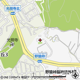 大林寺墓地周辺の地図