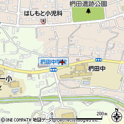 東京都八王子市椚田町197周辺の地図