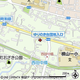 東京都八王子市館町115周辺の地図