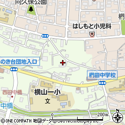 東京都八王子市館町165周辺の地図