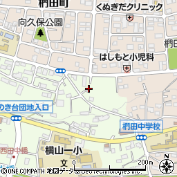 東京都八王子市館町167周辺の地図