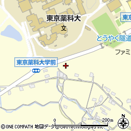 東京都八王子市堀之内1303周辺の地図