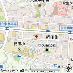 東京都八王子市椚田町567周辺の地図