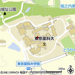 東京薬科大学周辺の地図