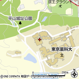 東京薬科大学　図書館周辺の地図
