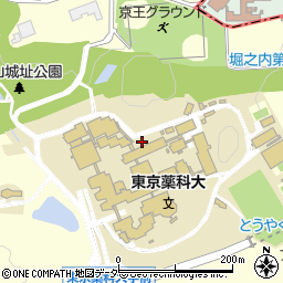 東京都八王子市堀之内1432周辺の地図