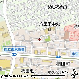 東京都八王子市椚田町577周辺の地図