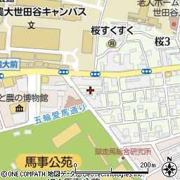 東京都世田谷区桜3丁目17-11周辺の地図