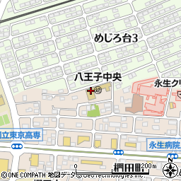 東京都八王子市椚田町1003周辺の地図
