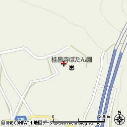 岐阜県郡上市美並町大原579周辺の地図