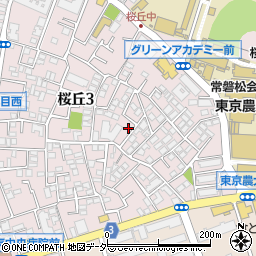 東京都世田谷区桜丘3丁目17-6周辺の地図