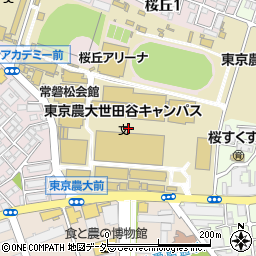 東京農業大学世田谷キャンパス　百周年記念講堂周辺の地図