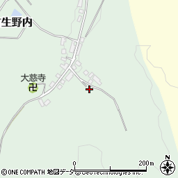 京都府京丹後市網野町生野内113周辺の地図