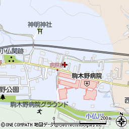東京都八王子市裏高尾町256周辺の地図