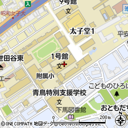 昭和女子大学　附属昭和幼稚園周辺の地図