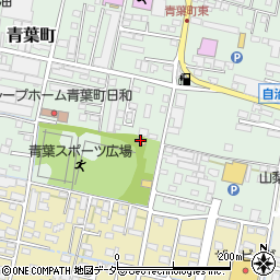 甲府市役所　青葉スポーツ広場周辺の地図