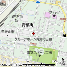 山梨県甲府市青葉町14-20周辺の地図