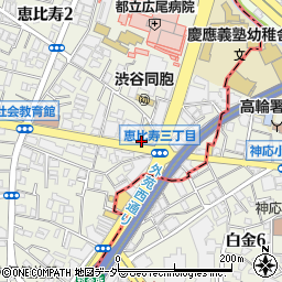 日本レーシングマネージメント株式会社周辺の地図
