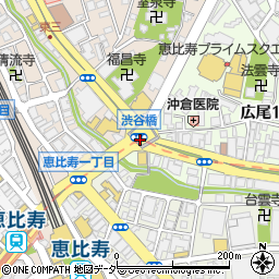 渋谷橋周辺の地図