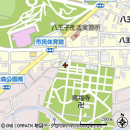 東京都八王子市緑町226周辺の地図
