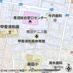 青沼テニス場周辺の地図