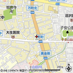 東京都八王子市万町98周辺の地図