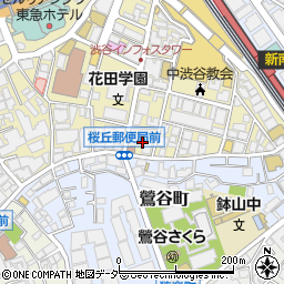東京都渋谷区桜丘町12周辺の地図