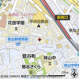 東京都渋谷区桜丘町10-13周辺の地図